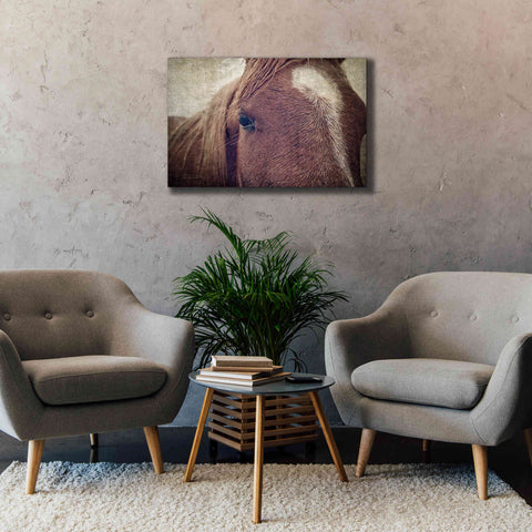 Image of 'Dew Lashes' by Debra Van Swearingen, Canvas Wall Art,40 x 26