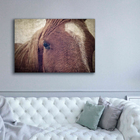 Image of 'Dew Lashes' by Debra Van Swearingen, Canvas Wall Art,60 x 40