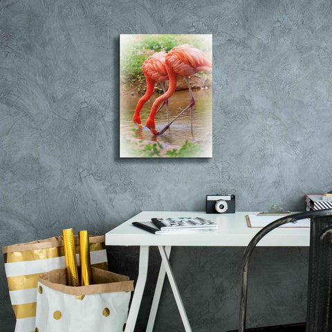Image of 'Two Flamingos' by Debra Van Swearingen, Canvas Wall Art,12 x 16