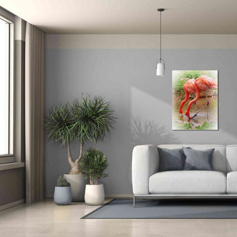 Image of 'Two Flamingos' by Debra Van Swearingen, Canvas Wall Art,26 x 34