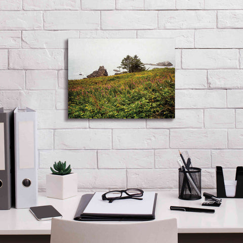 Image of 'Oregon Coast' by Debra Van Swearingen, Canvas Wall Art,16 x 12