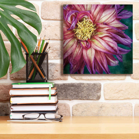Image of 'Dahlia I' by Debra Van Swearingen, Canvas Wall Art,12 x 12