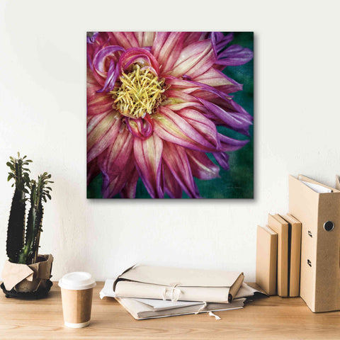 Image of 'Dahlia I' by Debra Van Swearingen, Canvas Wall Art,18 x 18