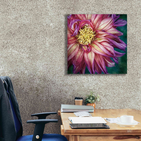 Image of 'Dahlia I' by Debra Van Swearingen, Canvas Wall Art,26 x 26