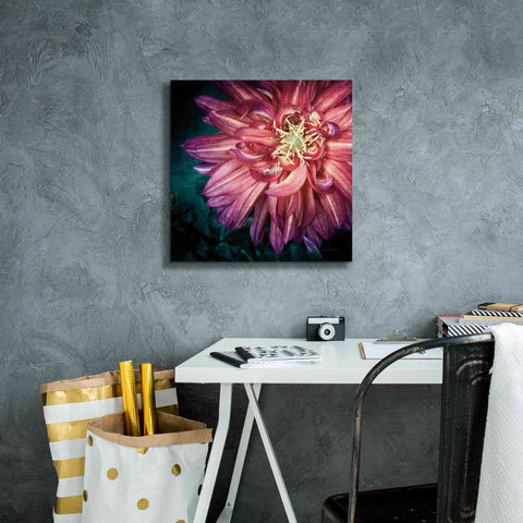 Image of 'Dahlia II' by Debra Van Swearingen, Canvas Wall Art,18 x 18