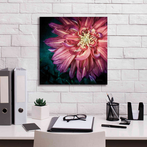 Image of 'Dahlia II' by Debra Van Swearingen, Canvas Wall Art,18 x 18