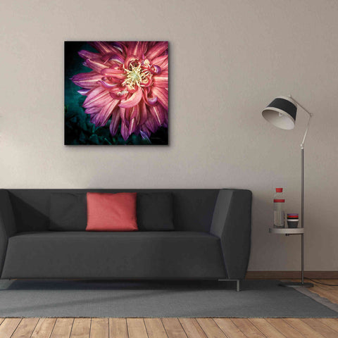 Image of 'Dahlia II' by Debra Van Swearingen, Canvas Wall Art,37 x 37