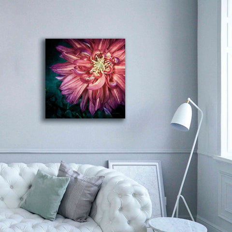 Image of 'Dahlia II' by Debra Van Swearingen, Canvas Wall Art,37 x 37