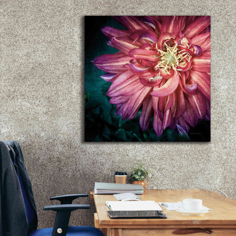 Image of 'Dahlia II' by Debra Van Swearingen, Canvas Wall Art,37 x 37