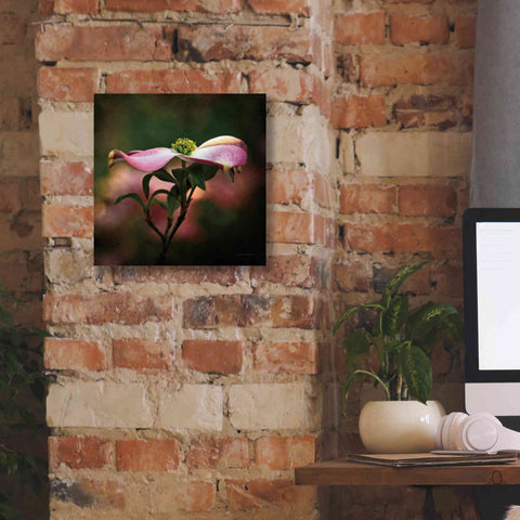 Image of 'Pink Dogwood I' by Debra Van Swearingen, Canvas Wall Art,12 x 12