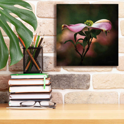 Image of 'Pink Dogwood I' by Debra Van Swearingen, Canvas Wall Art,12 x 12