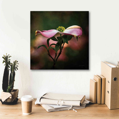 Image of 'Pink Dogwood I' by Debra Van Swearingen, Canvas Wall Art,18 x 18