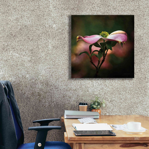 Image of 'Pink Dogwood I' by Debra Van Swearingen, Canvas Wall Art,26 x 26