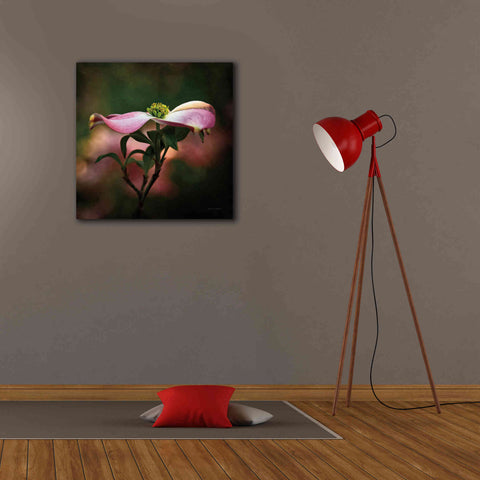 Image of 'Pink Dogwood I' by Debra Van Swearingen, Canvas Wall Art,26 x 26