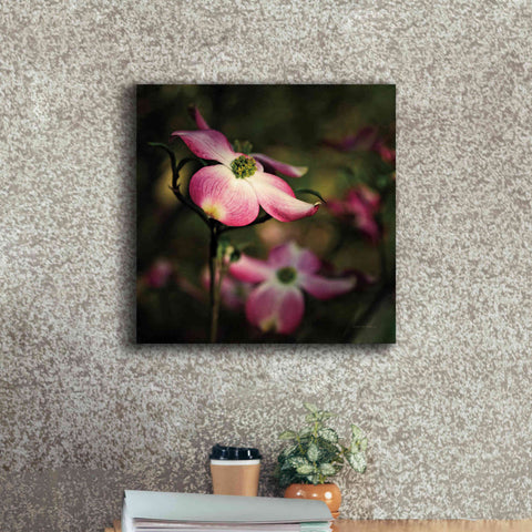 Image of 'Pink Dogwood II' by Debra Van Swearingen, Canvas Wall Art,18 x 18