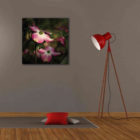 Image of 'Pink Dogwood II' by Debra Van Swearingen, Canvas Wall Art,26 x 26