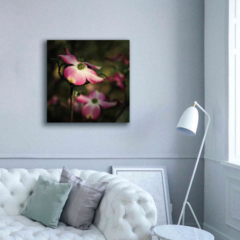 Image of 'Pink Dogwood II' by Debra Van Swearingen, Canvas Wall Art,37 x 37