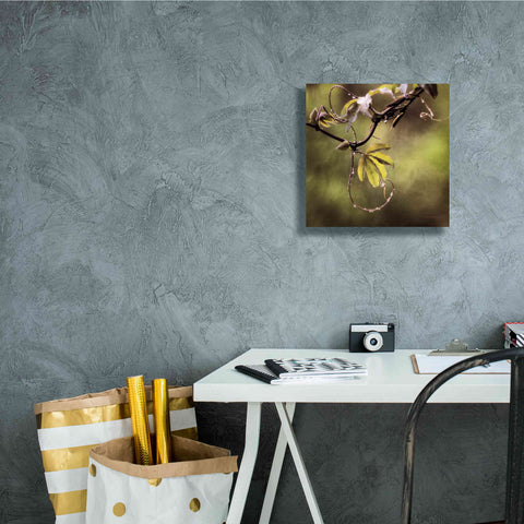 Image of 'Passion Flower Vine I' by Debra Van Swearingen, Canvas Wall Art,12 x 12