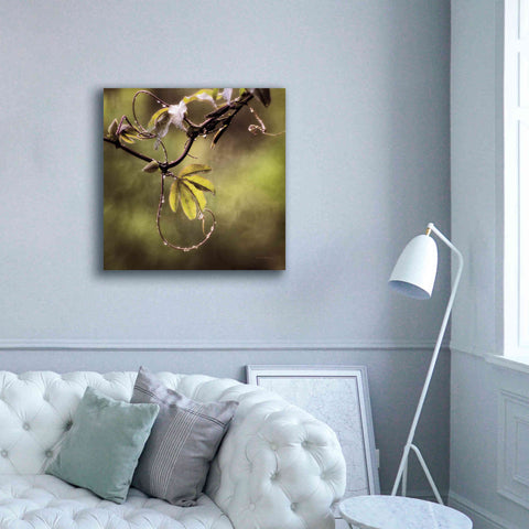 Image of 'Passion Flower Vine I' by Debra Van Swearingen, Canvas Wall Art,37 x 37