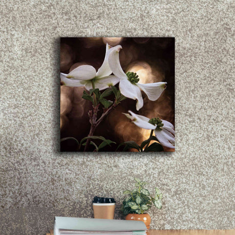 Image of 'White Dogwood I' by Debra Van Swearingen, Canvas Wall Art,18 x 18