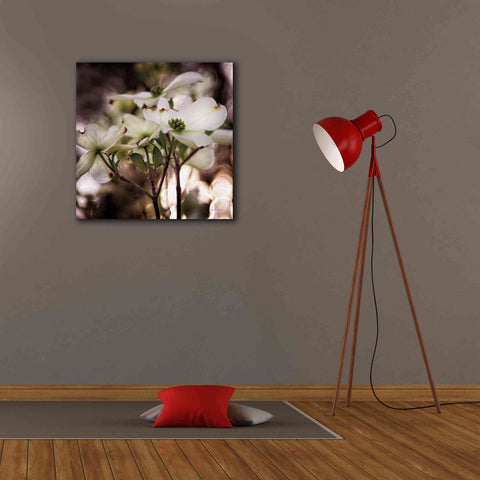 Image of 'White Dogwood II' by Debra Van Swearingen, Canvas Wall Art,26 x 26