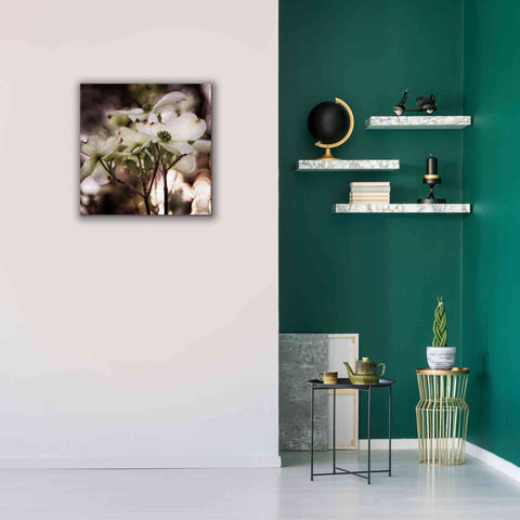 Image of 'White Dogwood II' by Debra Van Swearingen, Canvas Wall Art,26 x 26