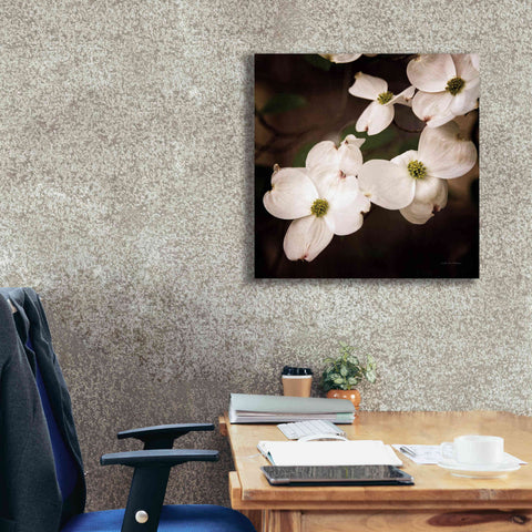 Image of 'White Dogwood III' by Debra Van Swearingen, Canvas Wall Art,26 x 26