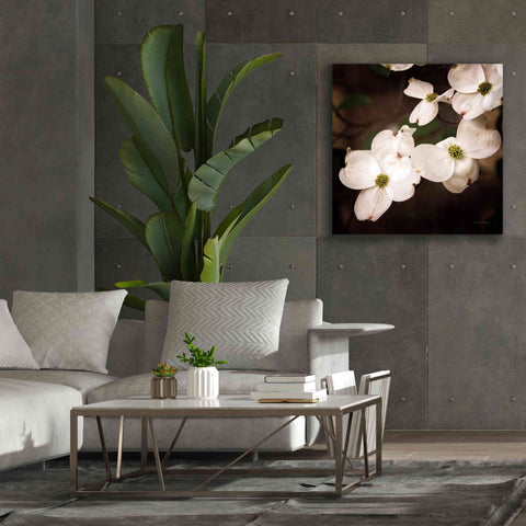 Image of 'White Dogwood III' by Debra Van Swearingen, Canvas Wall Art,37 x 37