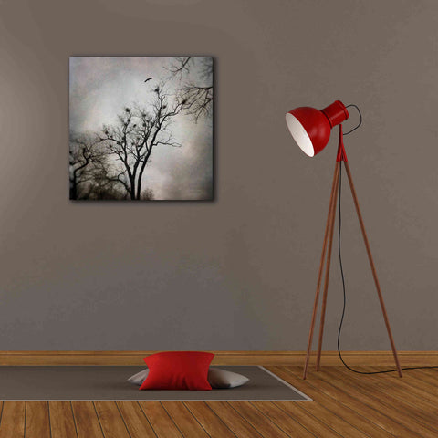 Image of 'The Heron Rookery' by Debra Van Swearingen, Canvas Wall Art,26 x 26