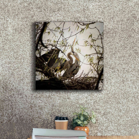 Image of 'Connection' by Debra Van Swearingen, Canvas Wall Art,18 x 18