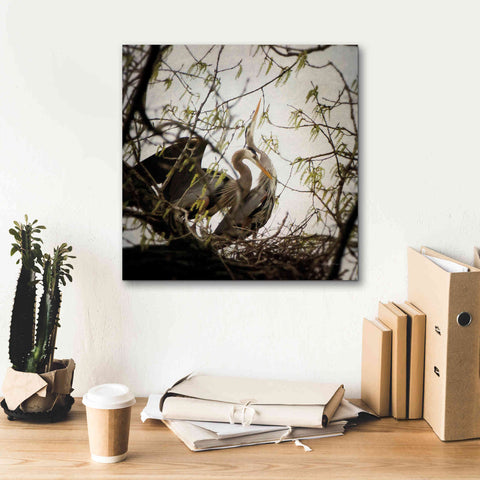 Image of 'Connection' by Debra Van Swearingen, Canvas Wall Art,18 x 18