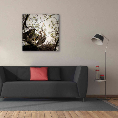 Image of 'Connection' by Debra Van Swearingen, Canvas Wall Art,37 x 37