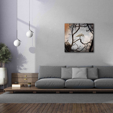 Image of 'Respite' by Debra Van Swearingen, Canvas Wall Art,37 x 37