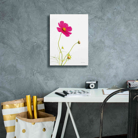 Image of 'Magenta Cosmos I' by Debra Van Swearingen, Canvas Wall Art,12 x 16