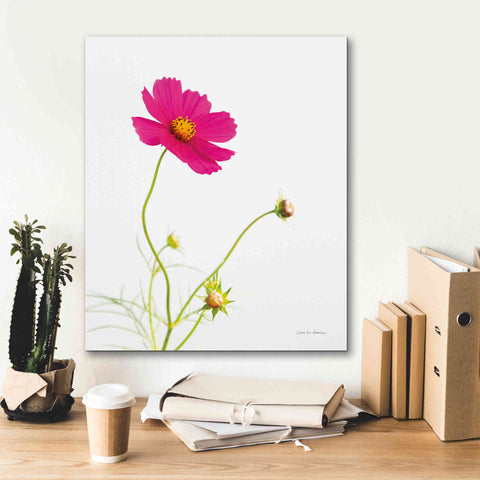 Image of 'Magenta Cosmos I' by Debra Van Swearingen, Canvas Wall Art,20 x 24