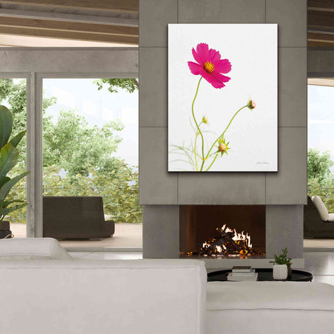 Image of 'Magenta Cosmos I' by Debra Van Swearingen, Canvas Wall Art,40 x 54