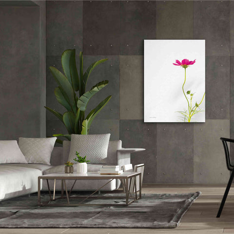 Image of 'Magenta Cosmos II' by Debra Van Swearingen, Canvas Wall Art,40 x 54