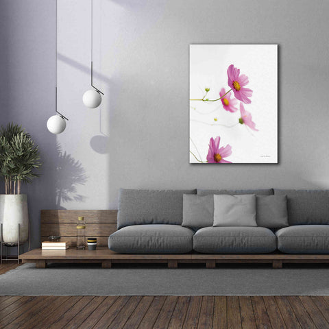 Image of 'Pale Cosmos I' by Debra Van Swearingen, Canvas Wall Art,40 x 54