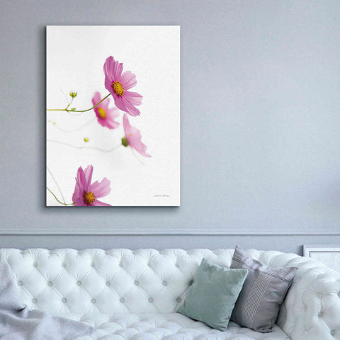 Image of 'Pale Cosmos I' by Debra Van Swearingen, Canvas Wall Art,40 x 54
