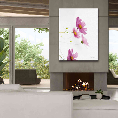 Image of 'Pale Cosmos I' by Debra Van Swearingen, Canvas Wall Art,40 x 54