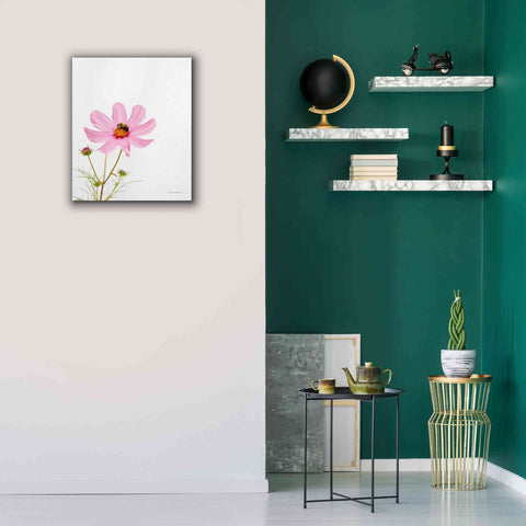 Image of 'Pale Cosmos II' by Debra Van Swearingen, Canvas Wall Art,20 x 24