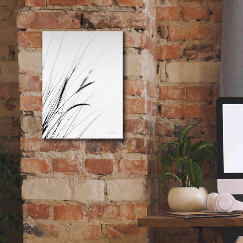 Image of 'Field Grasses I White' by Debra Van Swearingen, Canvas Wall Art,12 x 16
