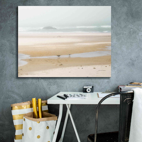 Image of 'Cold Beach I' by Debra Van Swearingen, Canvas Wall Art,34 x 26
