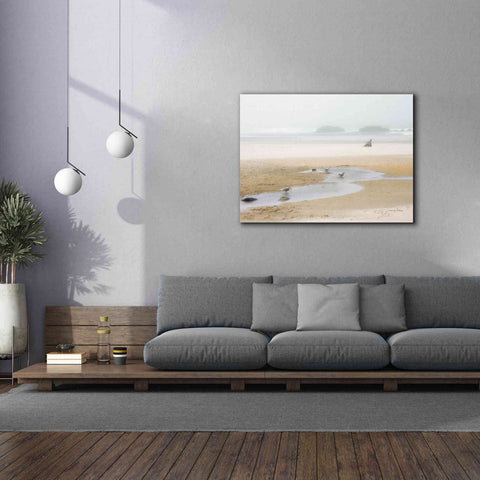 Image of 'Cold Beach II' by Debra Van Swearingen, Canvas Wall Art,54 x 40