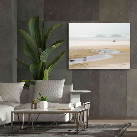 Image of 'Cold Beach II' by Debra Van Swearingen, Canvas Wall Art,54 x 40