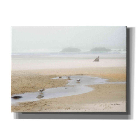 Image of 'Cold Beach II' by Debra Van Swearingen, Canvas Wall Art,16x12x1.1x0,26x18x1.1x0,34x26x1.74x0,54x40x1.74x0