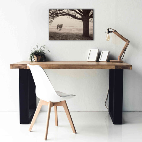Image of 'Hazy Horse I' by Debra Van Swearingen, Canvas Wall Art,26 x 18