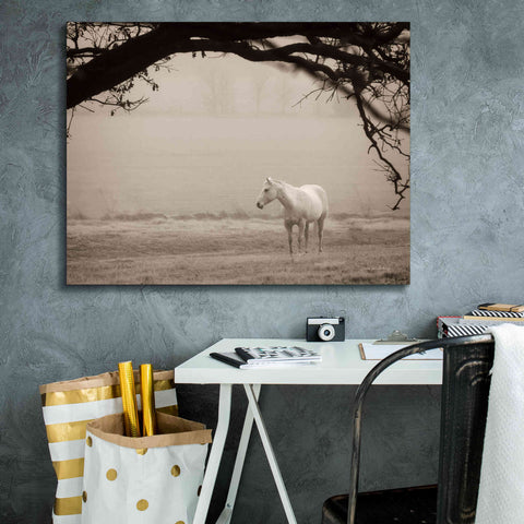 Image of 'Hazy Horse II' by Debra Van Swearingen, Canvas Wall Art,34 x 26