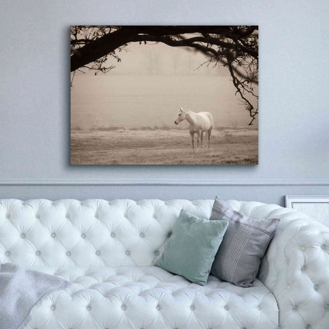 Image of 'Hazy Horse II' by Debra Van Swearingen, Canvas Wall Art,54 x 40