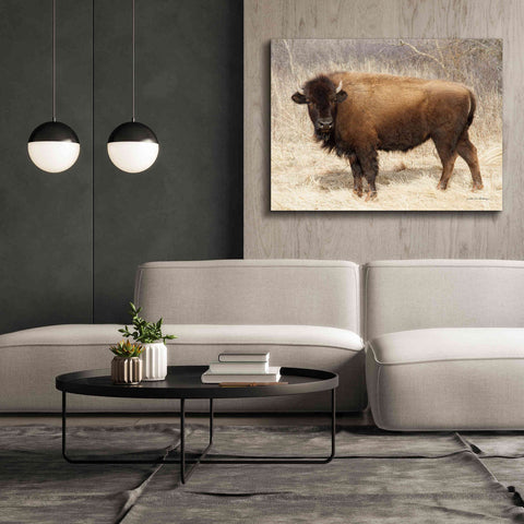 Image of 'American Bison I' by Debra Van Swearingen, Canvas Wall Art,54 x 40